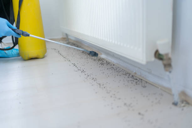 Best Wildlife Control Services  in Knox, PA
